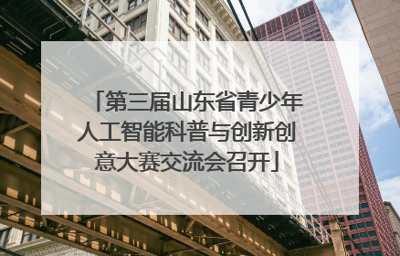 第三届山东省青少年人工智能科普与创新创意大赛交流会召开