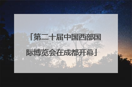 第二十届中国西部国际博览会在成都开幕