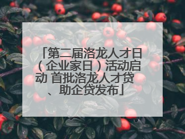 第二届洛龙人才日（企业家日）活动启动 首批洛龙人才贷、助企贷发布