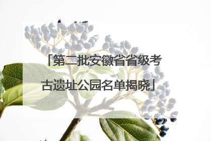 第二批安徽省省级考古遗址公园名单揭晓