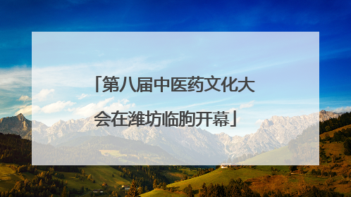 第八届中医药文化大会在潍坊临朐开幕