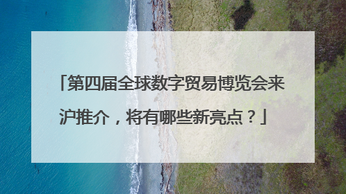 第四届全球数字贸易博览会来沪推介，将有哪些新亮点？