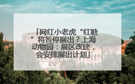 网红小老虎“红糖”将暂停展出？上海动物园：展区改建，会安排展出计划