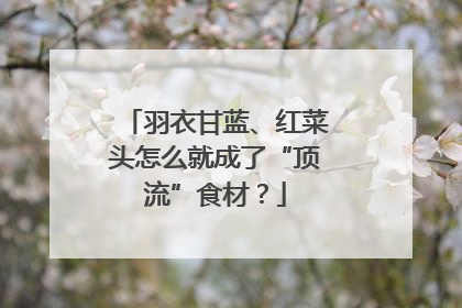 羽衣甘蓝、红菜头怎么就成了“顶流”食材？