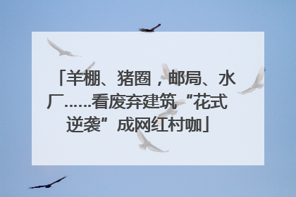 羊棚、猪圈，邮局、水厂……看废弃建筑“花式逆袭”成网红村咖