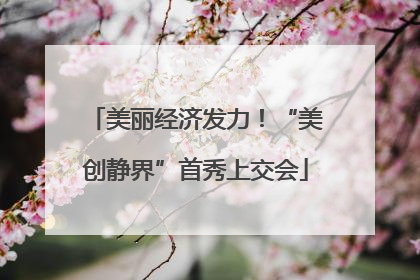美丽经济发力！“美创静界”首秀上交会