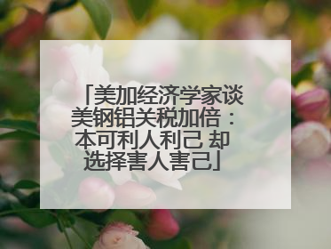 美加经济学家谈美钢铝关税加倍：本可利人利己 却选择害人害己