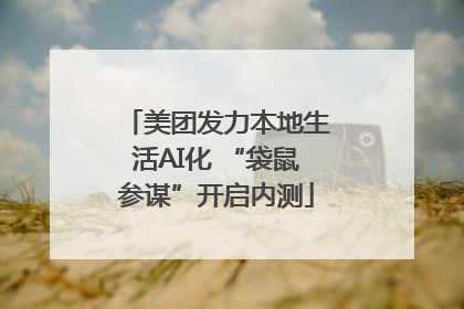 美团发力本地生活AI化 “袋鼠参谋”开启内测