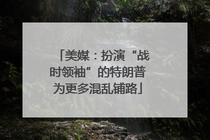 美媒：扮演“战时领袖”的特朗普为更多混乱铺路