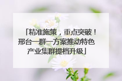 精准施策，重点突破！邢台一群一方案推动特色产业集群提档升级