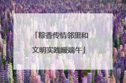 粽香传情邻里和 文明实践暖端午