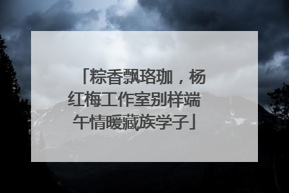 粽香飘珞珈，杨红梅工作室别样端午情暖藏族学子