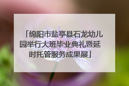 绵阳市盐亭县石龙幼儿园举行大班毕业典礼暨延时托管服务成果展