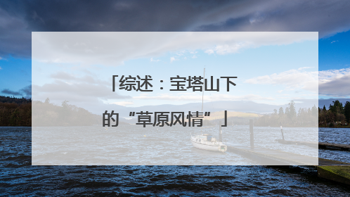 综述：宝塔山下的“草原风情”