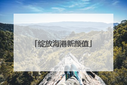 绽放海港新颜值