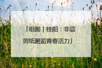 组图｜桂阳：非遗剪纸邂逅青春活力