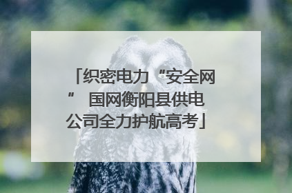 织密电力“安全网” 国网衡阳县供电公司全力护航高考