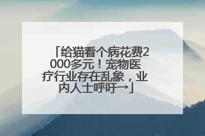给猫看个病花费2000多元！宠物医疗行业存在乱象，业内人士呼吁→