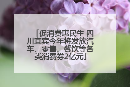 促消费惠民生 四川宜宾今年将发放汽车、零售、餐饮等各类消费券2亿元