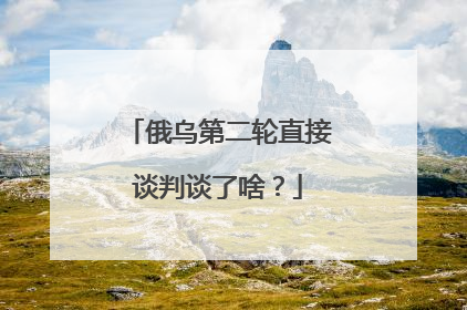 俄乌第二轮直接谈判谈了啥？