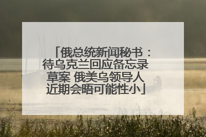 俄总统新闻秘书：待乌克兰回应备忘录草案 俄美乌领导人近期会晤可能性小