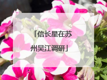 信长星在苏州吴江调研
