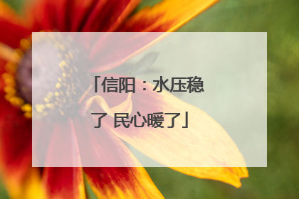 信阳：水压稳了 民心暖了