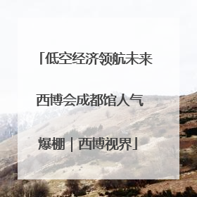 低空经济领航未来 西博会成都馆人气爆棚｜西博视界