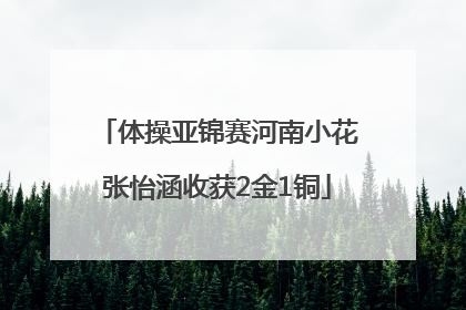 体操亚锦赛河南小花张怡涵收获2金1铜