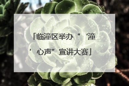 临潼区举办“‘潼’心声”宣讲大赛