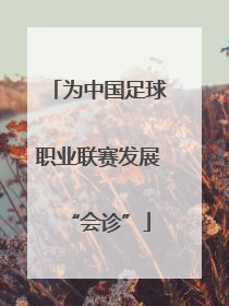 为中国足球职业联赛发展“会诊”