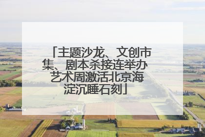 主题沙龙、文创市集、剧本杀接连举办 艺术周激活北京海淀沉睡石刻