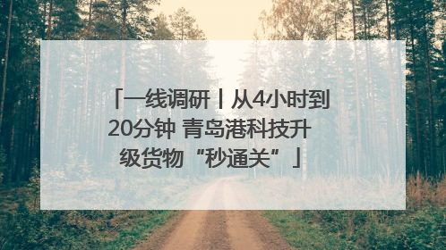 一线调研丨从4小时到20分钟 青岛港科技升级货物“秒通关”