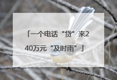 一个电话“贷”来240万元“及时雨”