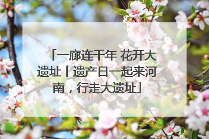 一廊连千年 花开大遗址丨遗产日一起来河南，行走大遗址