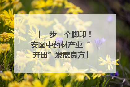 一步一个脚印！安图中药材产业“开出”发展良方