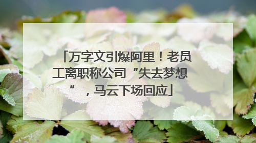 万字文引爆阿里！老员工离职称公司“失去梦想”，马云下场回应