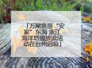 万尾鱼苗“安家”东海 浙江海洋增殖放流活动在台州启幕