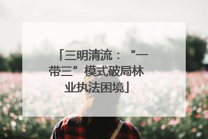 三明清流：“一带三”模式破局林业执法困境
