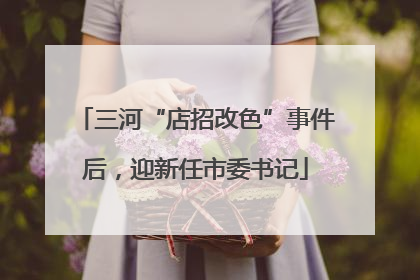 三河“店招改色”事件后,迎新任市委书记