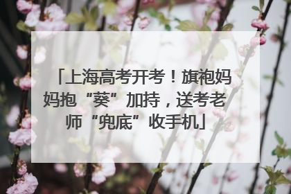 上海高考开考！旗袍妈妈抱“葵”加持，送考老师“兜底”收手机