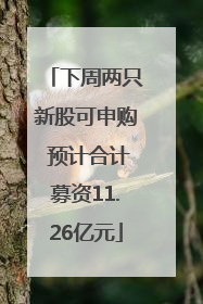 下周两只新股可申购 预计合计募资11.26亿元