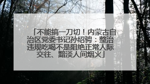 不能搞一刀切！内蒙古自治区党委书记孙绍骋：整治违规吃喝不是阻绝正常人际交往、黯淡人间烟火