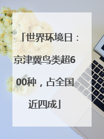 世界环境日：京津冀鸟类超600种，占全国近四成