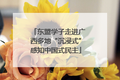 东盟学子走进广西多地“沉浸式”感知中国式民主