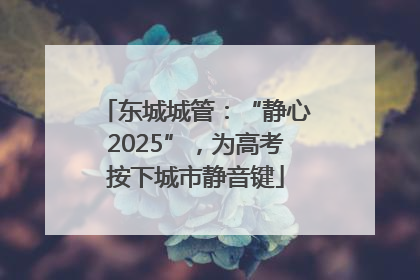 东城城管：“静心2025”，为高考按下城市静音键