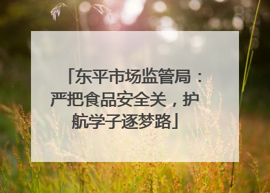 东平市场监管局：严把食品安全关，护航学子逐梦路