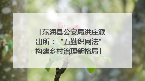 东海县公安局洪庄派出所：“五勤织网法”构建乡村治理新格局