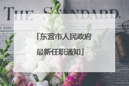 东营市人民政府最新任职通知