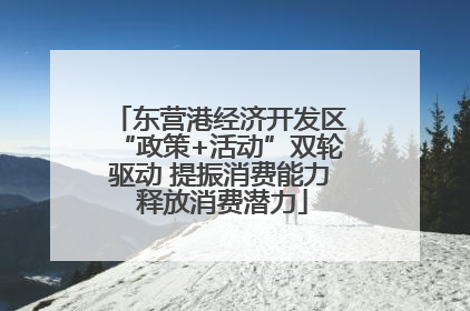 东营港经济开发区“政策+活动”双轮驱动 提振消费能力 释放消费潜力